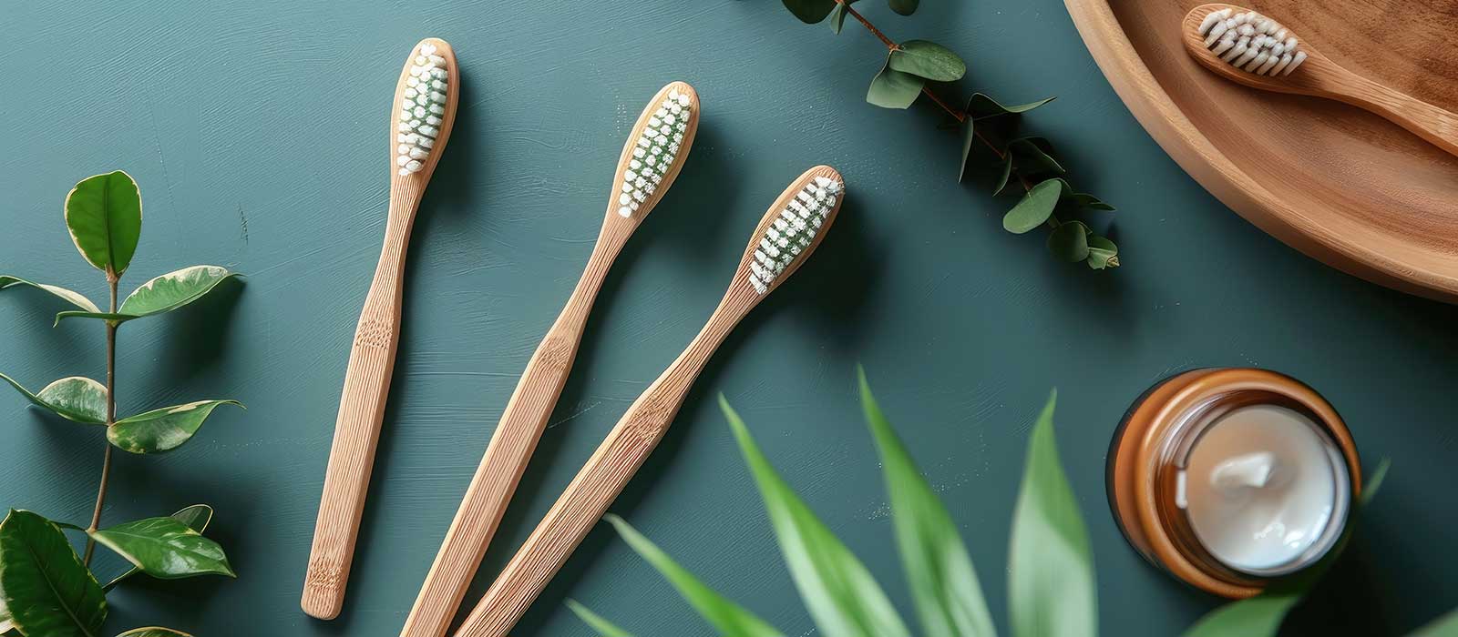 Holistic oral care with eco friendly products